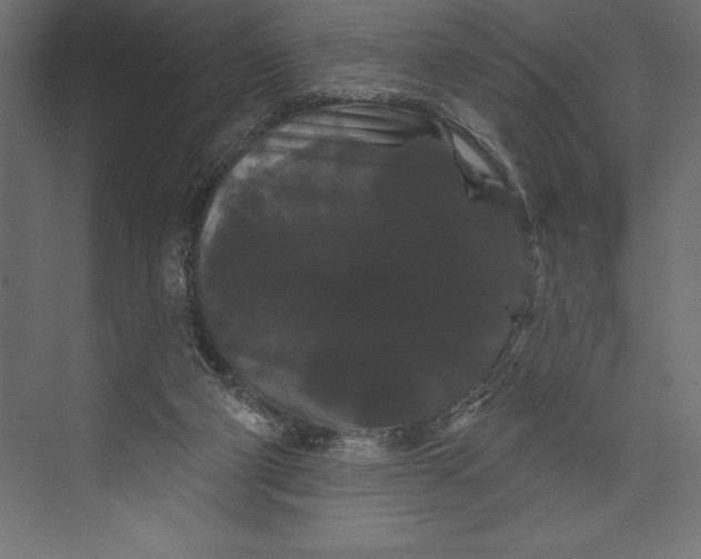 X0000073400114200608181039