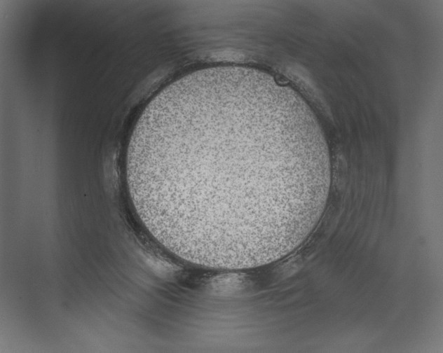 X0000073400116200608181039