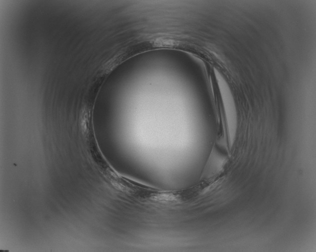 X0000073400125200608181039