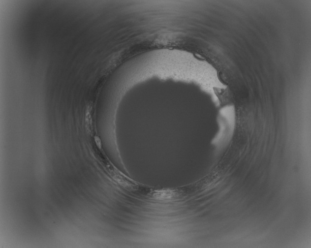 X0000073400127200608181039