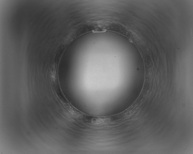 X0000073400129200608181039
