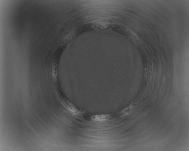 X0000073400134200608181039