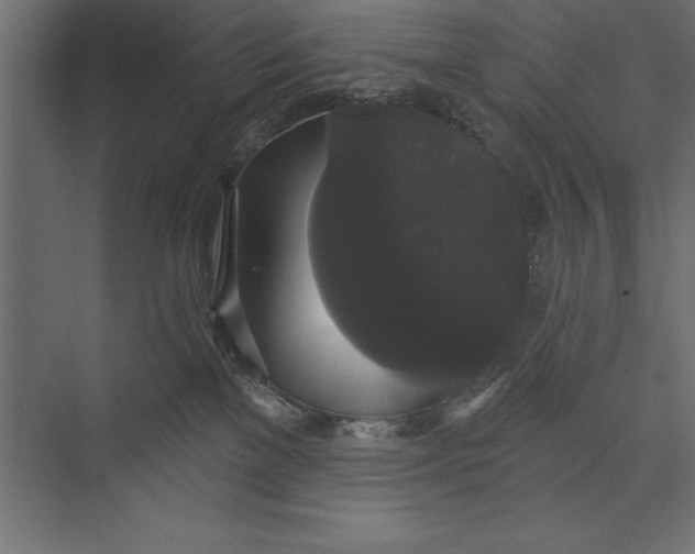 X0000073400137200608181039