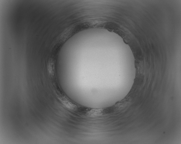 X0000073400138200608181039