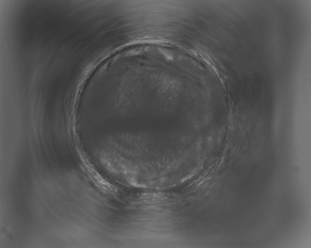 X0000073400145200608181038