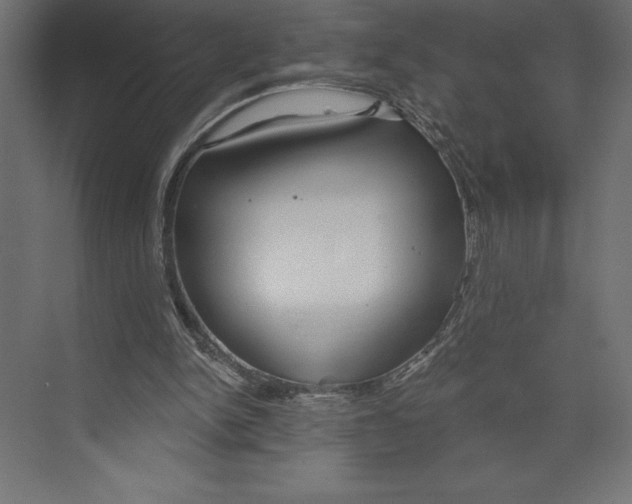 X0000073400150200608181038