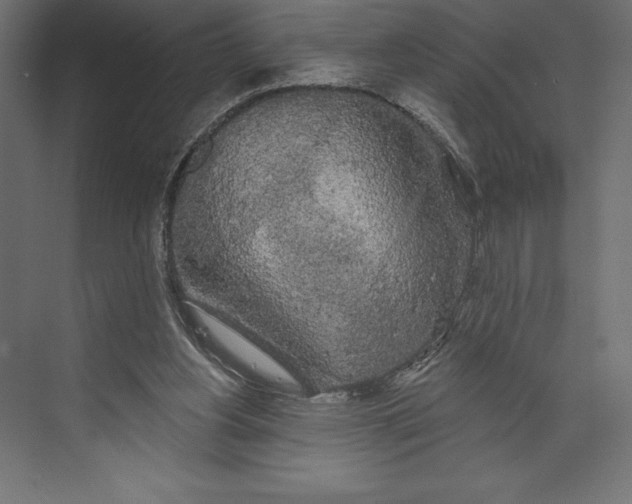 X0000073400156200608181038