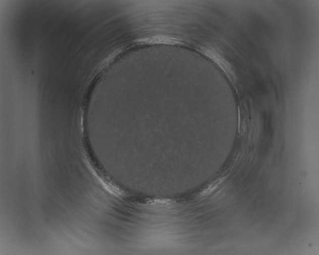 X0000073400157200608181038