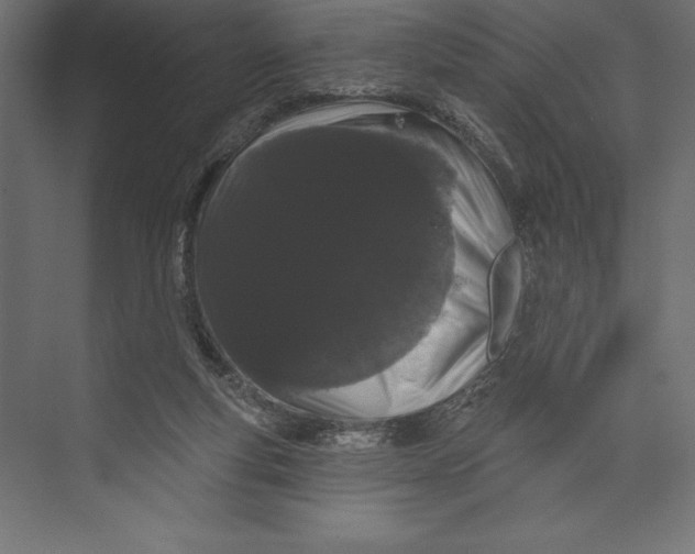 X0000073400163200608181038