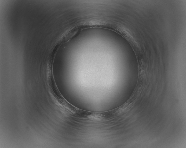 X0000073400164200608181038
