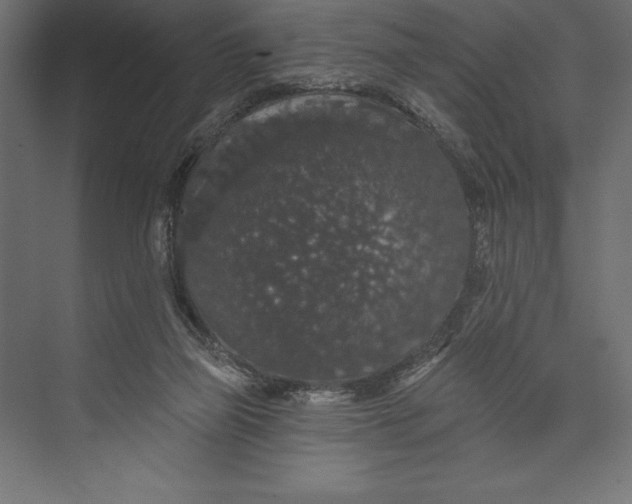 X0000073400165200608181038