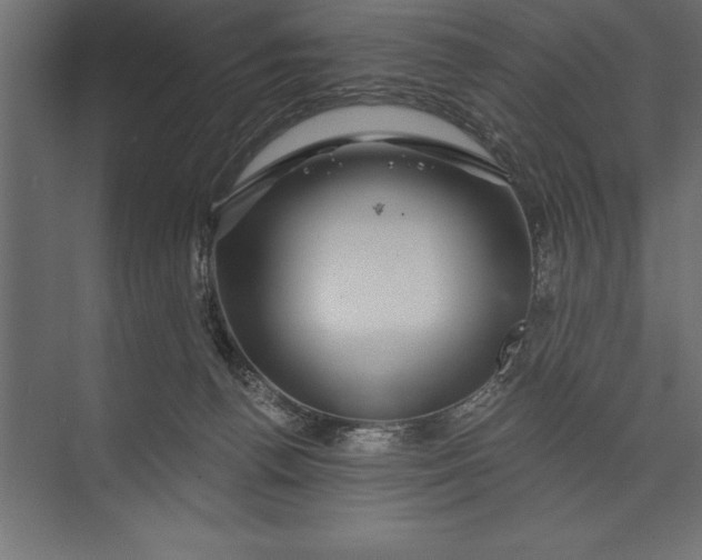 X0000073400176200608181039