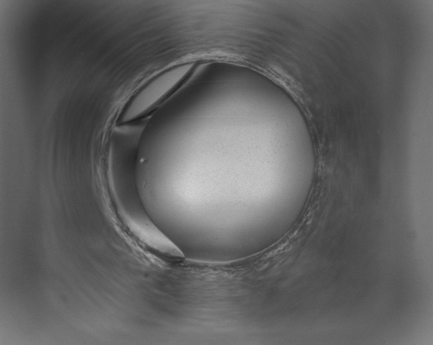 X0000073400193200608181038