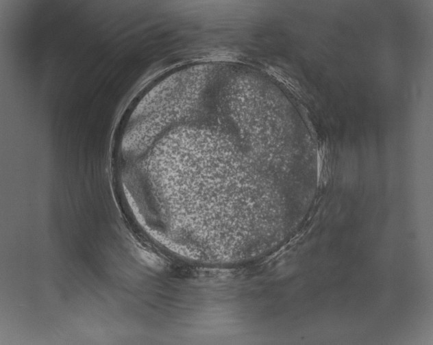 X0000073400195200608181038