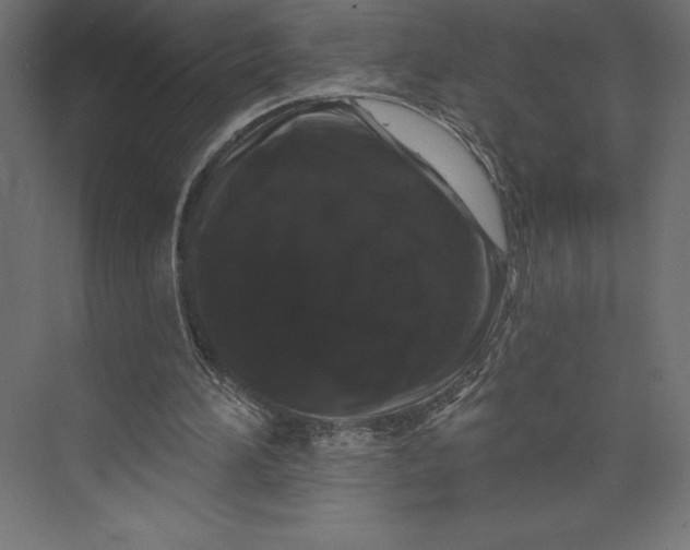 X0000073400196200608181038