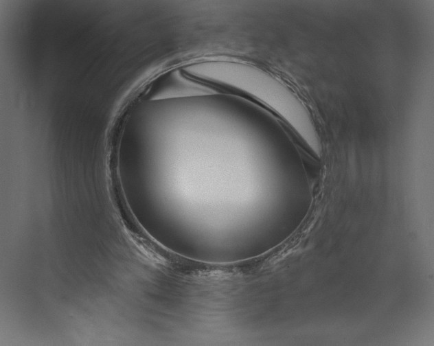 X0000073400197200608181038