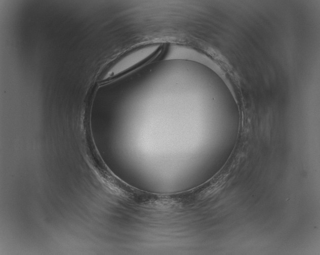 X0000073400201200608181038