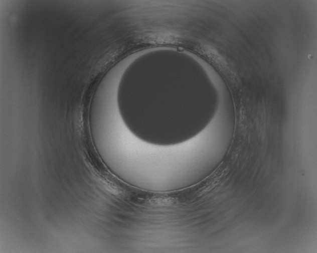 X0000073400202200608181038