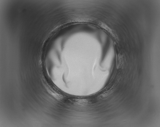X0000073400203200608181038