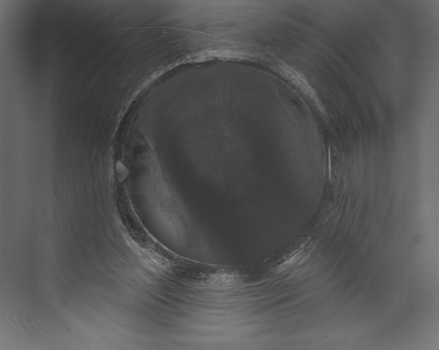 X0000073400204200608181038