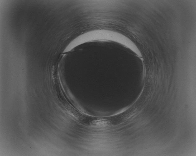 X0000073400219200608181038