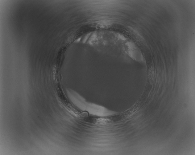 X0000073400222200608181038