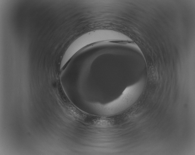 X0000073400224200608181038