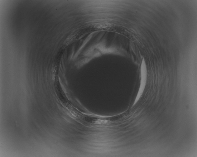 X0000073400227200608181037
