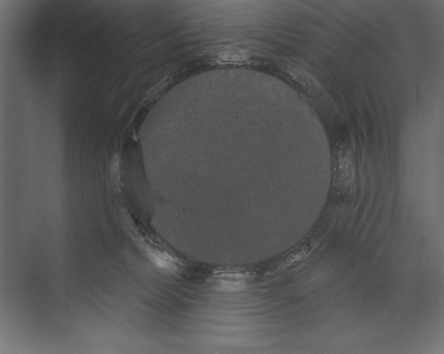 X0000073400228200608181037