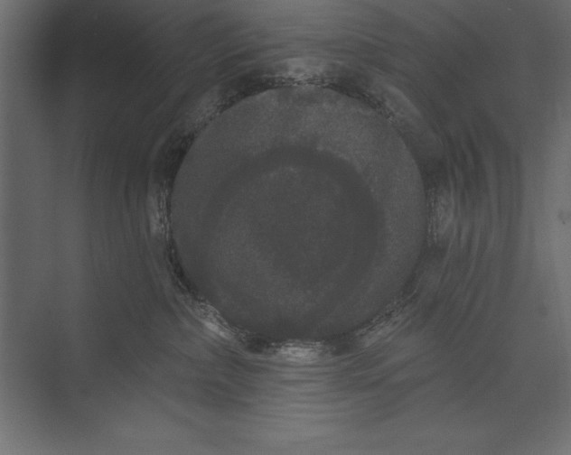 X0000073400236200608181037