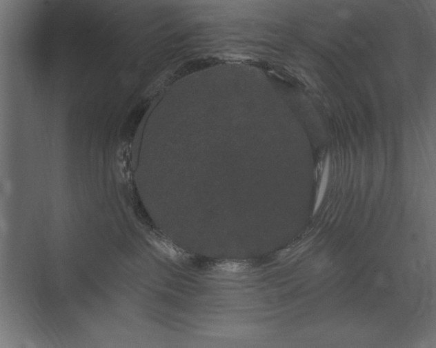 X0000073400237200608181037