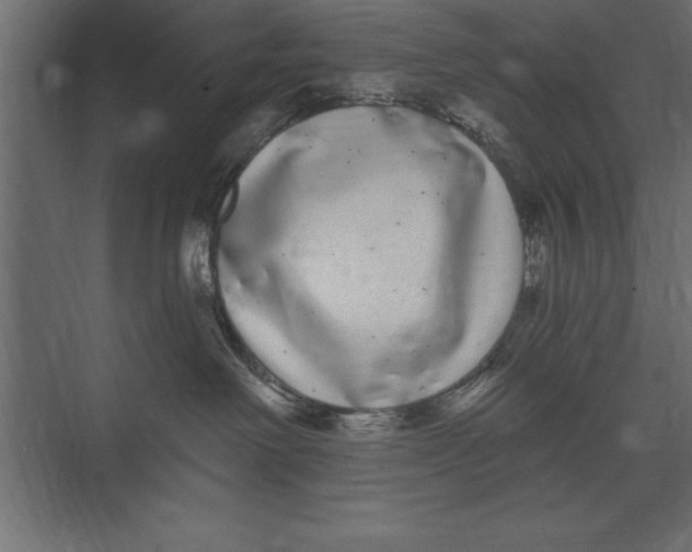 X0000073400238200608181037
