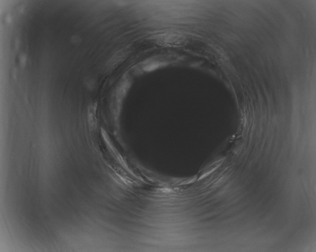 X0000073400239200608181037