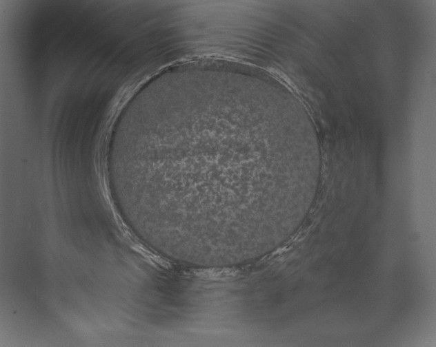 X0000073400241200608181036