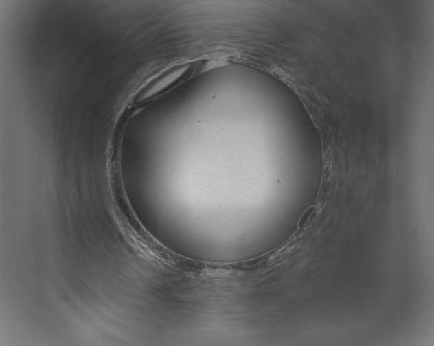X0000073400242200608181036