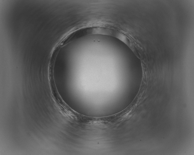 X0000073400244200608181036