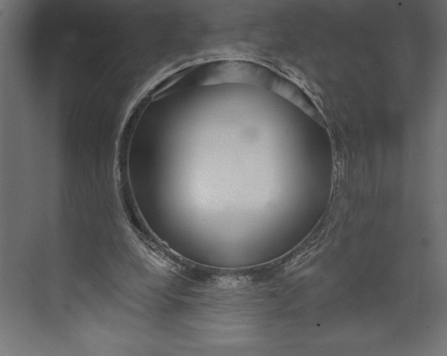 X0000073400248200608181037
