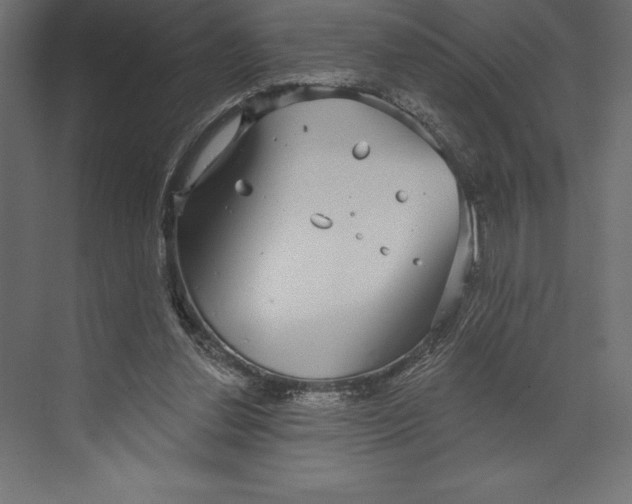 X0000073400252200608181037