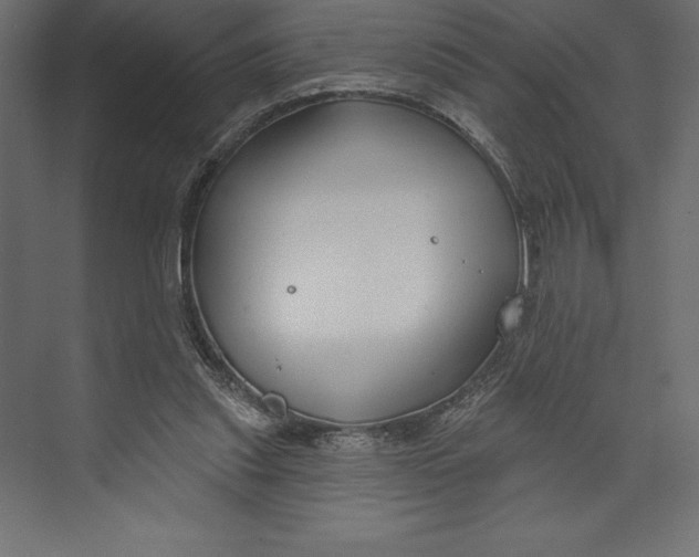 X0000073400253200608181037