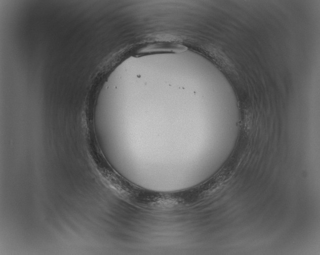 X0000073400256200608181037