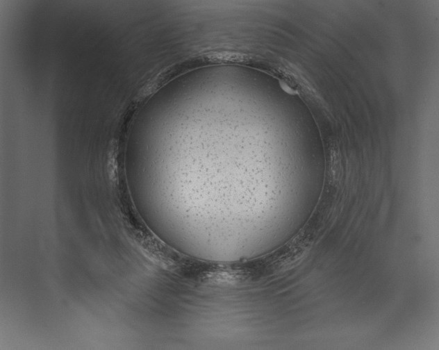 X0000073400259200608181037
