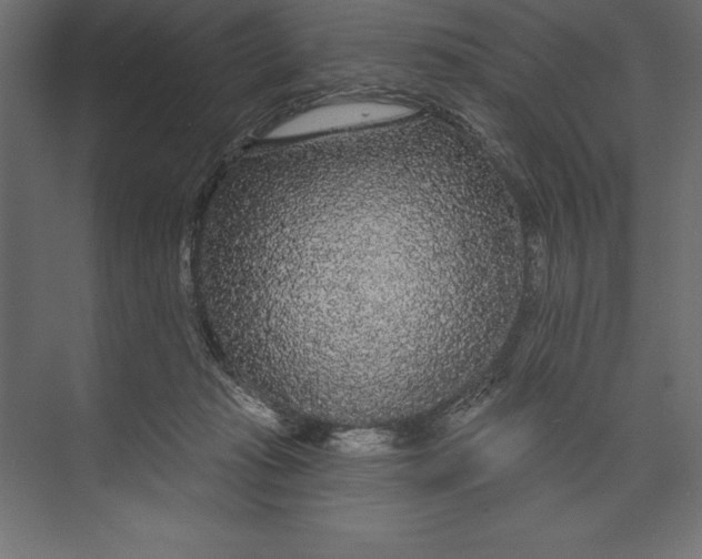 X0000073400269200608181037