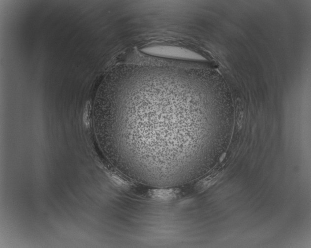 X0000073400273200608181037