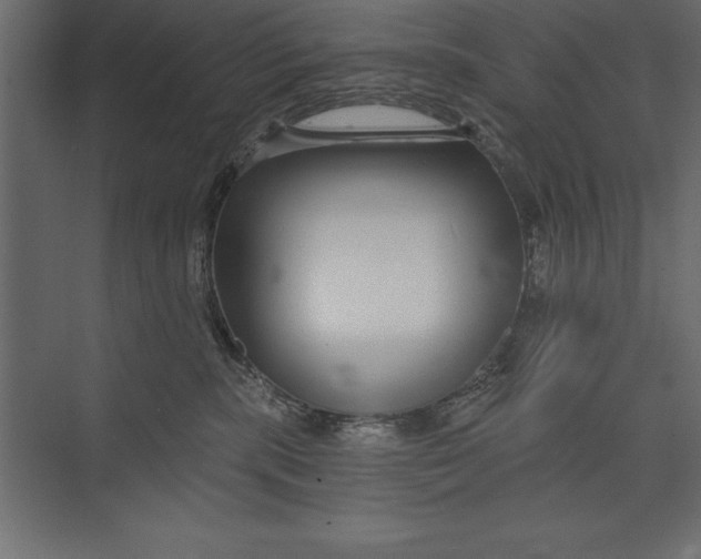 X0000073400283200608181037