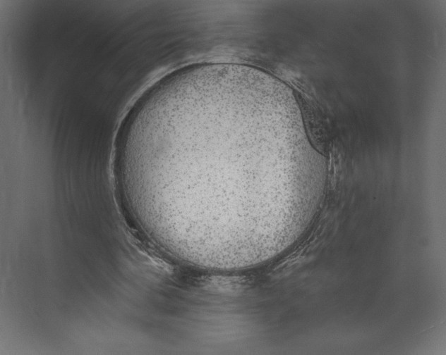 X0000073400292200608181036