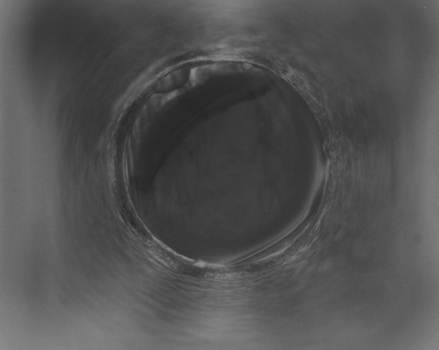 X0000073400295200608181036