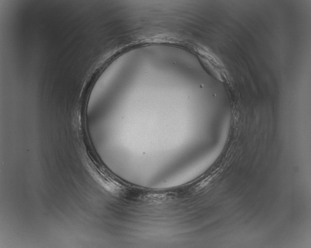 X0000073400298200608181036