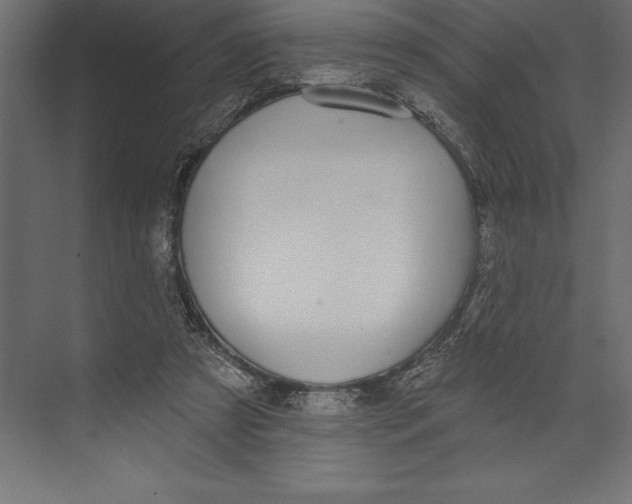 X0000073400305200608181036