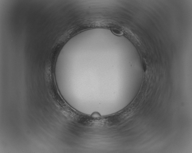 X0000073400306200608181036