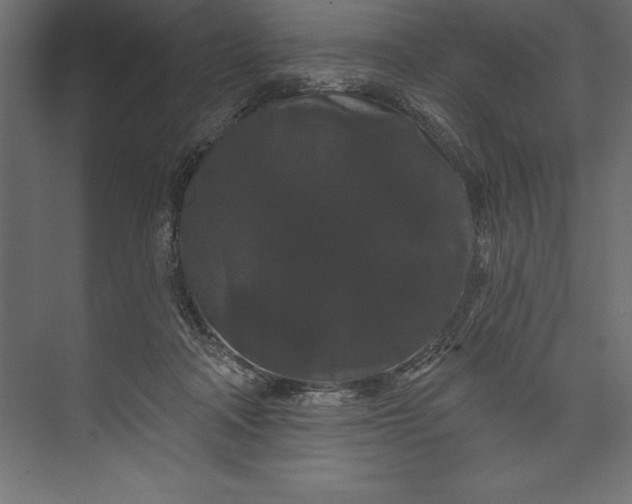 X0000073400314200608181036